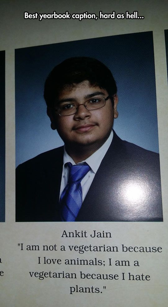 Best Funny Senior Quotes
 72 best Savage Senior Quotes images on Pinterest