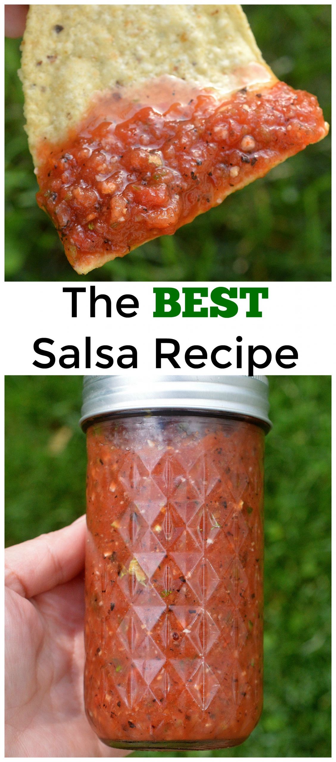 Best Tomato For Salsa
 The BEST and Easiest Salsa Recipe