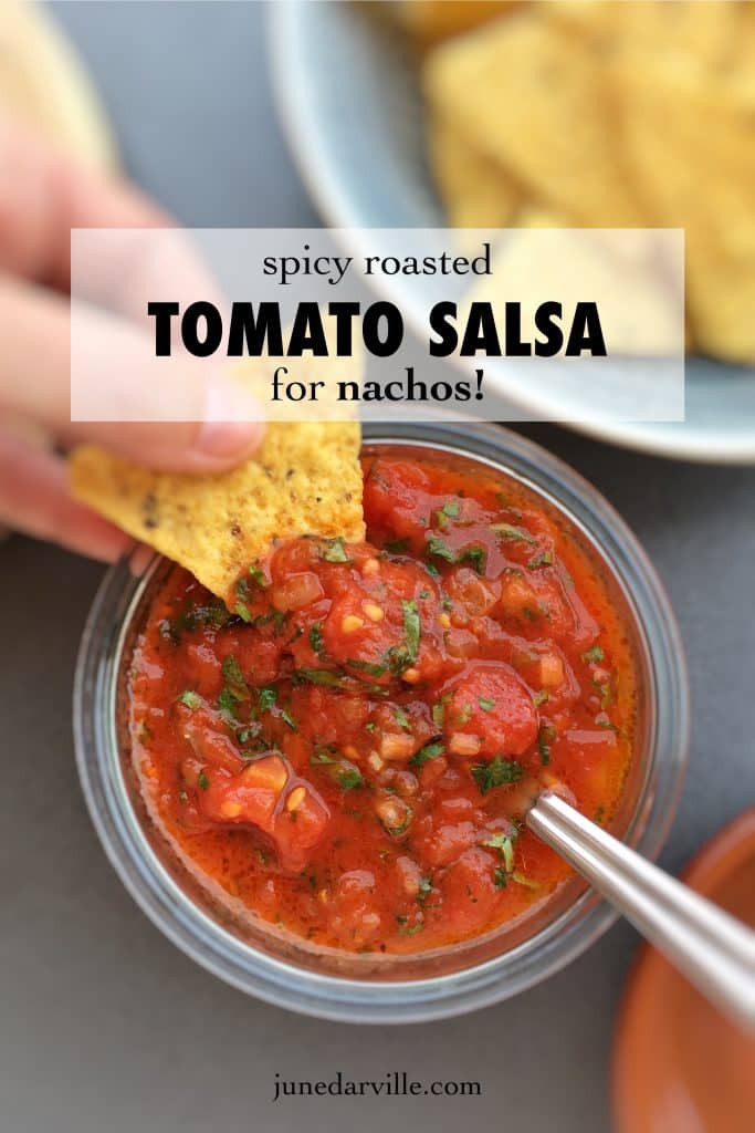 Best Tomato For Salsa
 Spicy Roasted Tomato Salsa Recipe