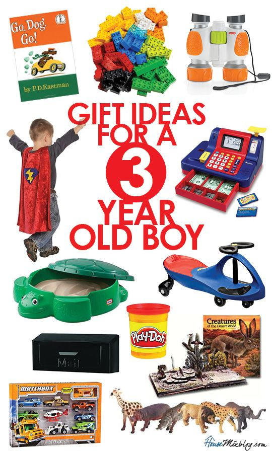 Birthday Gift Ideas 3 Year Old Boy
 Gift ideas for 3 year old boys