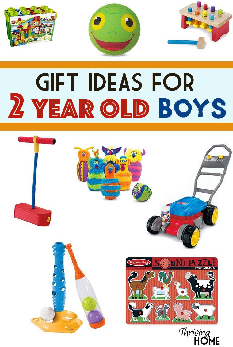 Birthday Gift Ideas For 2 Year Old Girl
 Gift Ideas for a Two Year Old Boy