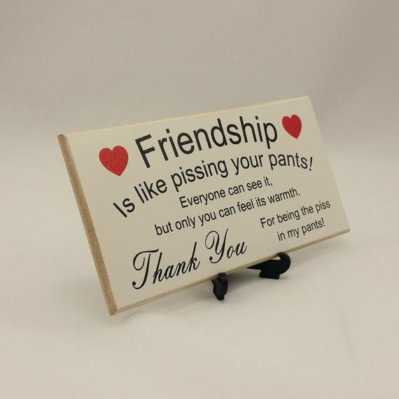 Birthday Gifts For Your Best Friend
 Best Friend Gift Funny Sign Birthday Present Friendship Gift