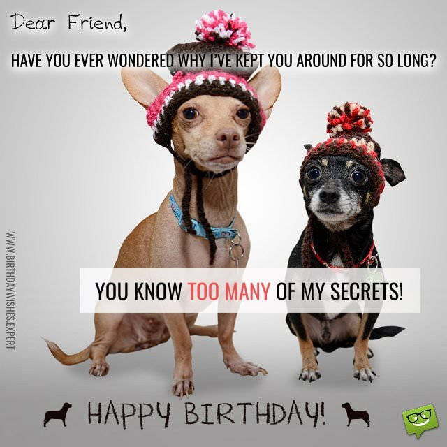 Birthday Wishes For Friends Funny
 Huge List of Funny Birthday Quotes