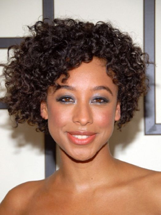 Black Hairstyles For Natural Curly Hair
 Short Natural Curly Hairstyles for Black Women Hair 2013