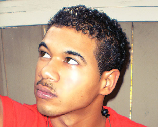 Black Male Curly Hairstyles
 30 Stylish Black Men Hairstyles SloDive
