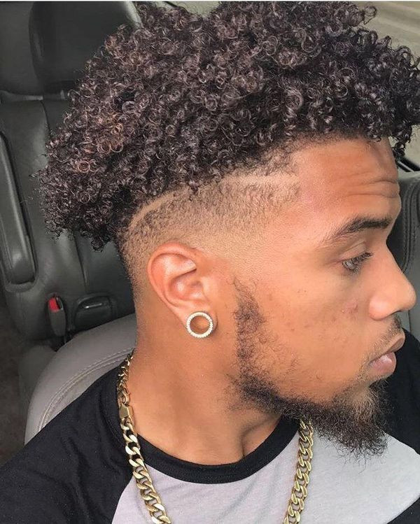 Black Male Curly Hairstyles
 Curly Hairstyles for Black Men Black Guy Curly Haircuts