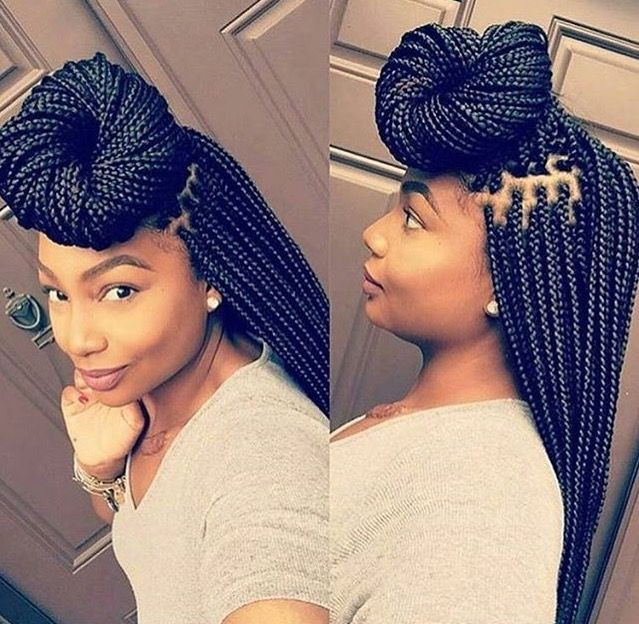 Box Braids Updos Hairstyles
 Small box braids in 2019