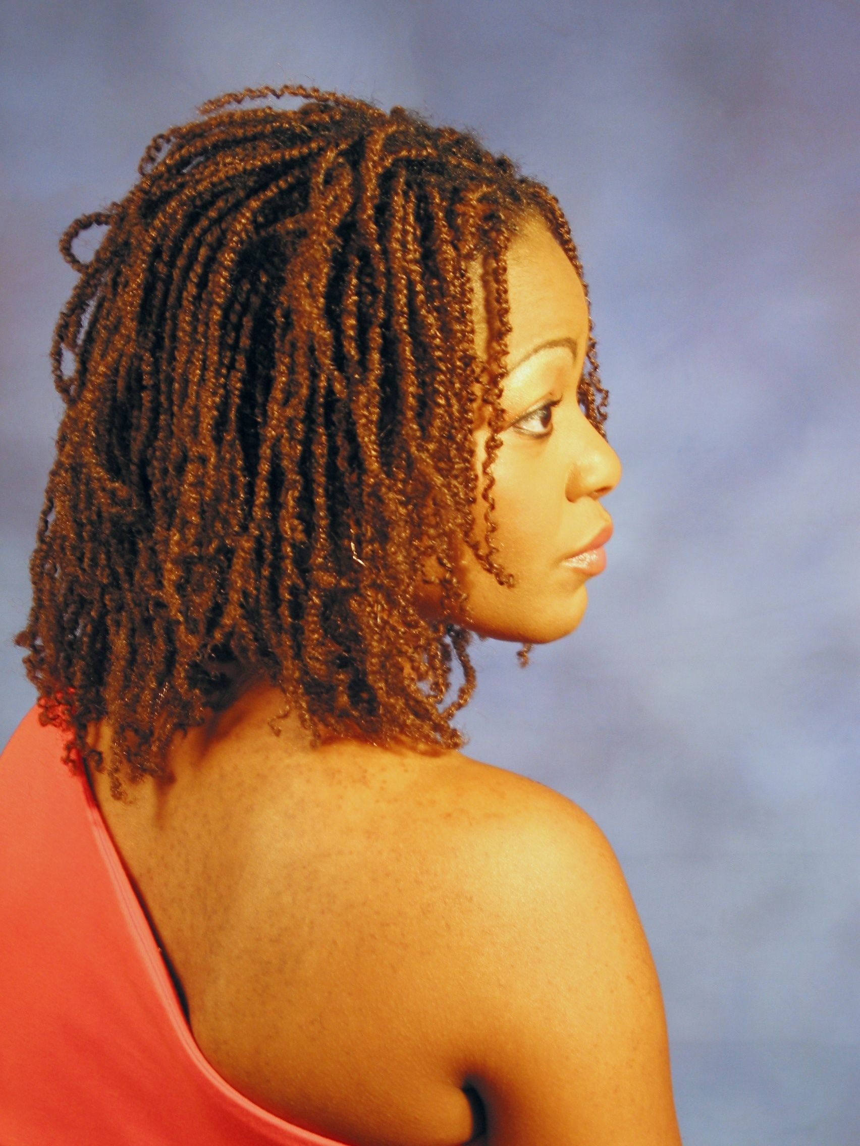 Braiding Twist Hairstyles
 101 African Hair Braiding Gallery