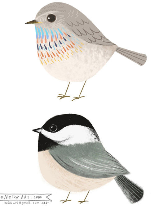 Brooches Illustration
 Pin by Leanne Webb on birds in 2019
