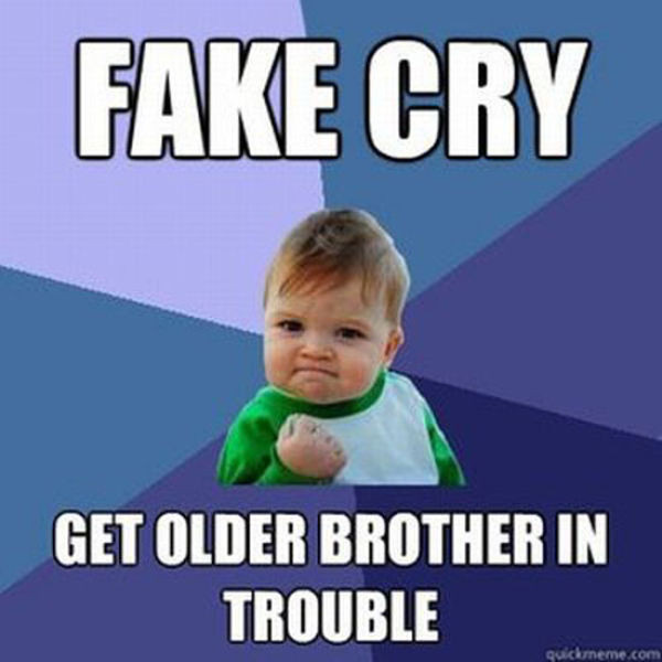 Brother Quotes Funny
 Funny Older Brother Quotes QuotesGram