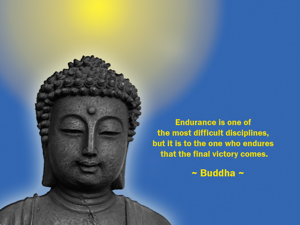 Buddha Motivational Quotes
 Inspirational Desktop Wallpaper November 2010