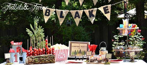 Campout Birthday Party Ideas
 Backyard Campout Birthday Party