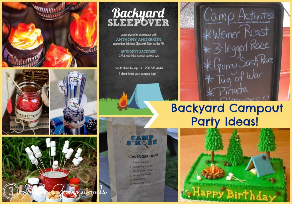 Campout Birthday Party Ideas
 How to Make a Campfire Birthday Cake