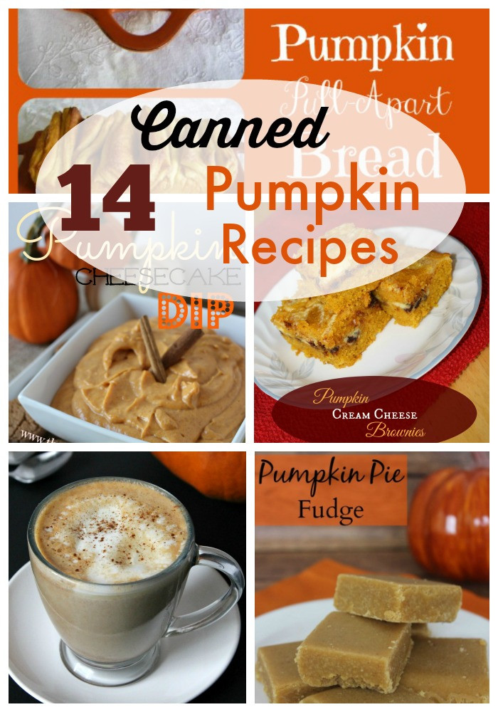 Canned Pumpkin Desserts Recipes
 14 Canned Pumpkin Recipes