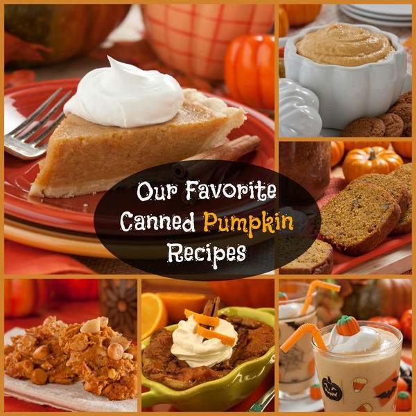 Canned Pumpkin Desserts Recipes
 Our Favorite Canned Pumpkin Recipes 11 Easy Recipes with