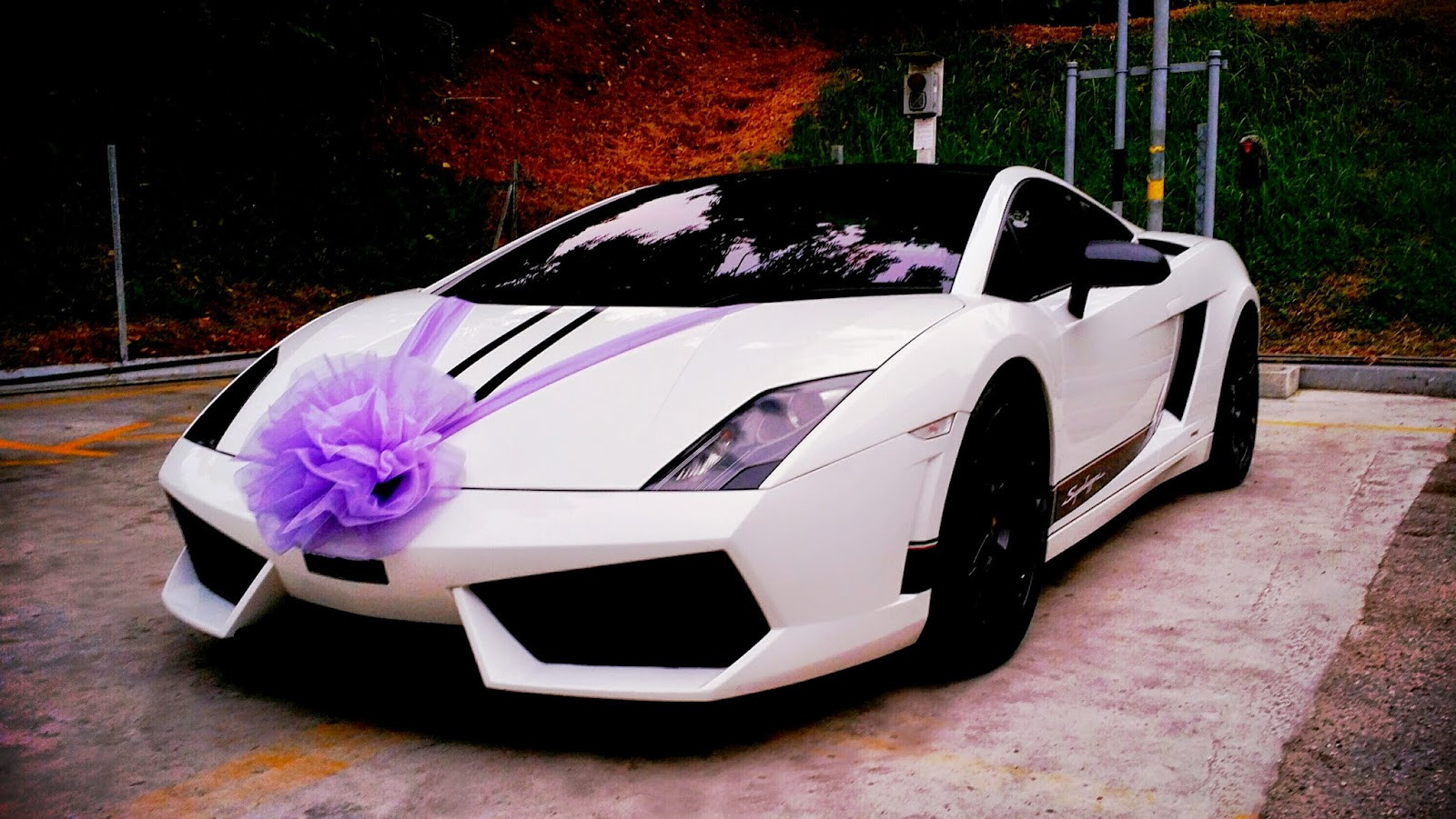 Car Decoration For Wedding
 RedOrca Malaysia Wedding and Event Car Rental Bridal Car