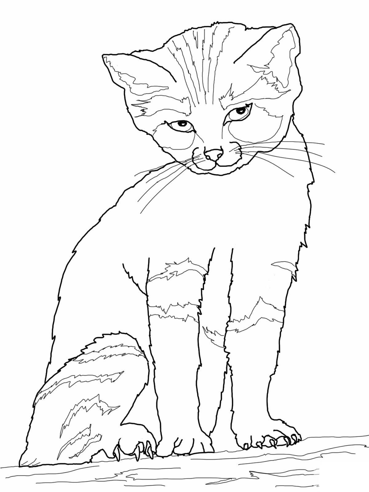 Cat Coloring Pages For Toddlers
 Free Printable Cat Coloring Pages For Kids