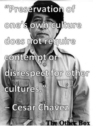 Cesar Chavez Quotes On Education
 35 best Chicano Mexican American Hispanic History images