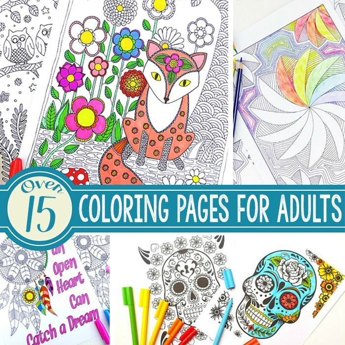 Cheap Adult Coloring Books
 96 best images about Coloring Sheets on Pinterest