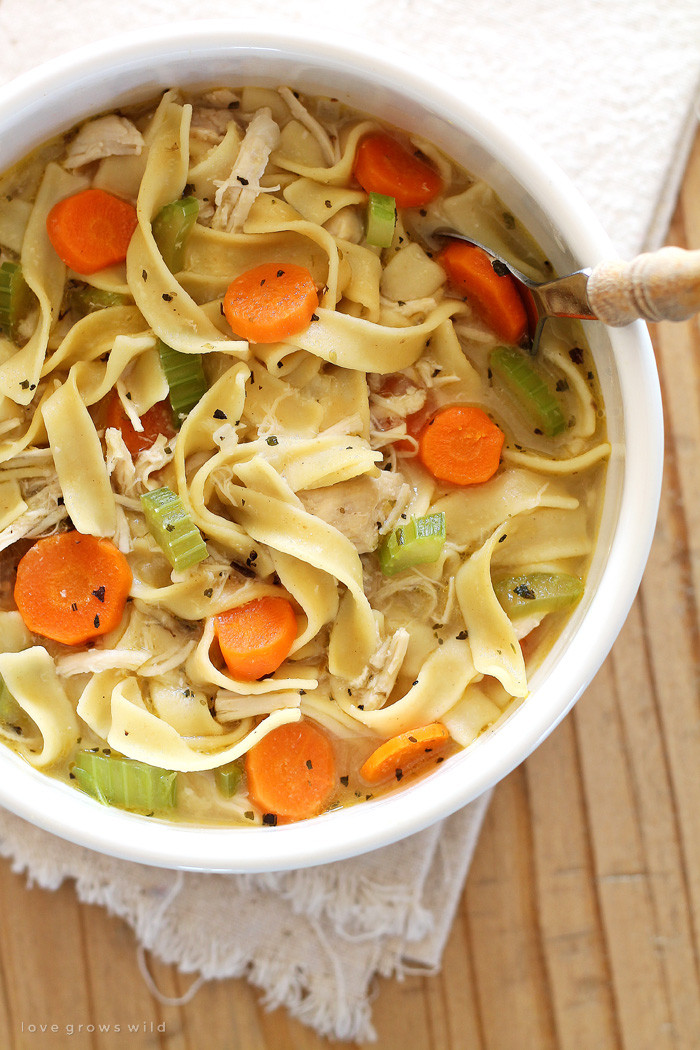 Chicken And Noodles Soup
 Quick and Easy Chicken Noodle Soup Love Grows Wild