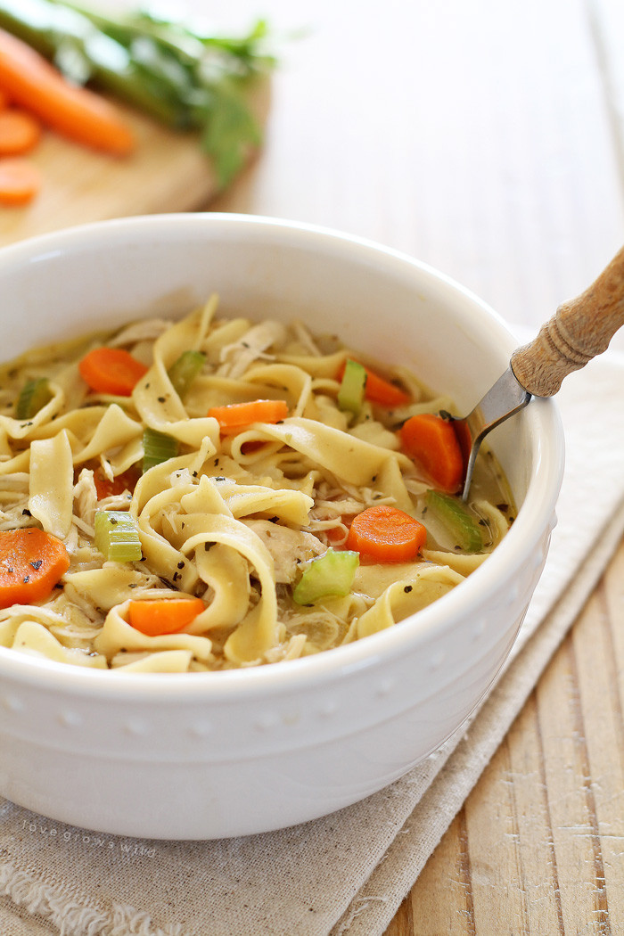 Chicken And Noodles Soup
 Quick and Easy Chicken Noodle Soup Love Grows Wild