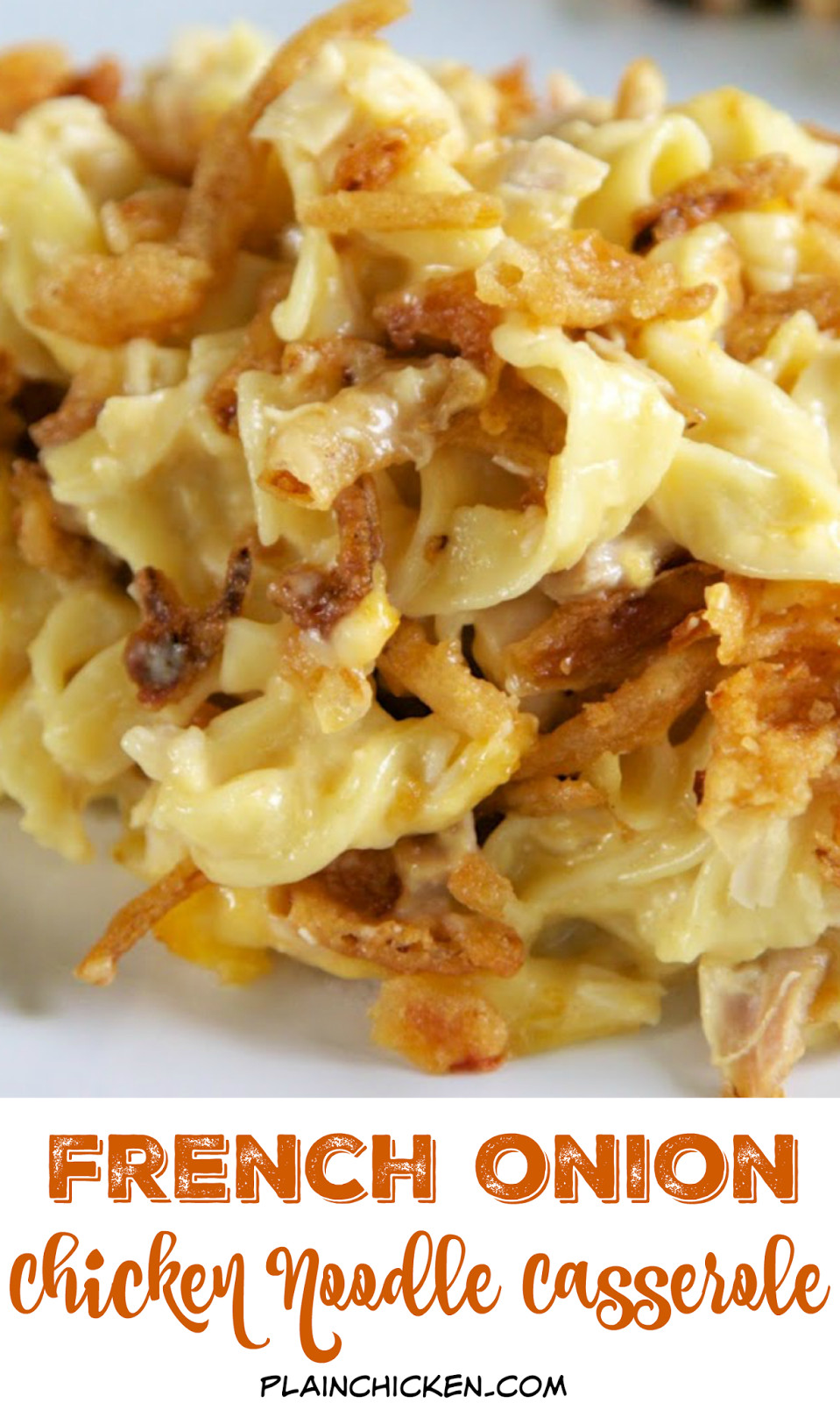 Chicken Egg Noodle Casserole Recipes
 French ion Chicken Noodle Casserole