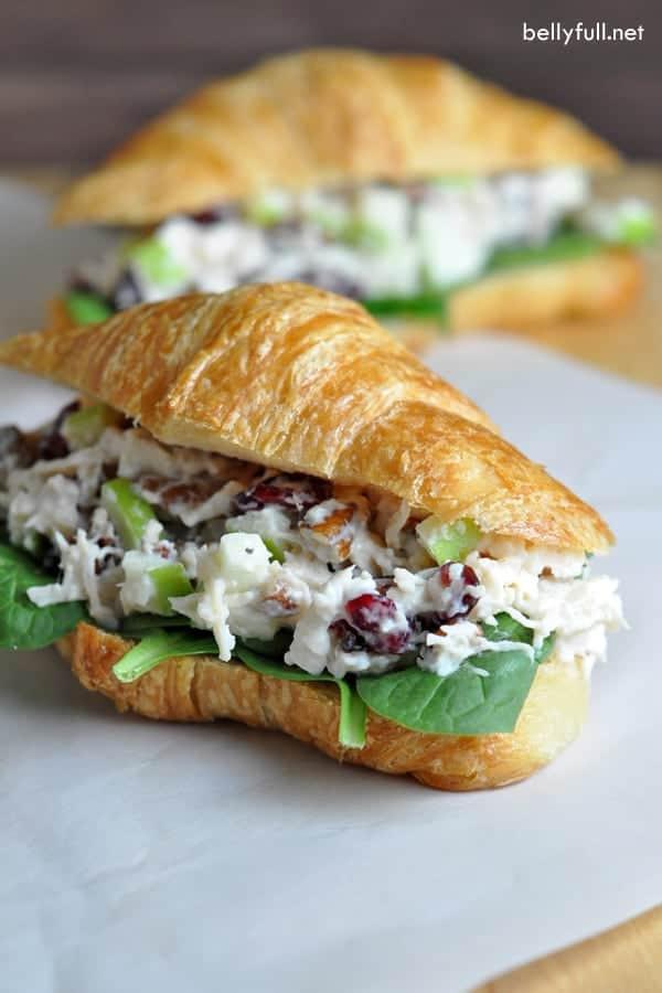 Chicken Salad For Sandwich
 The Best Chicken Salad With Cranberries Apples and Pecans