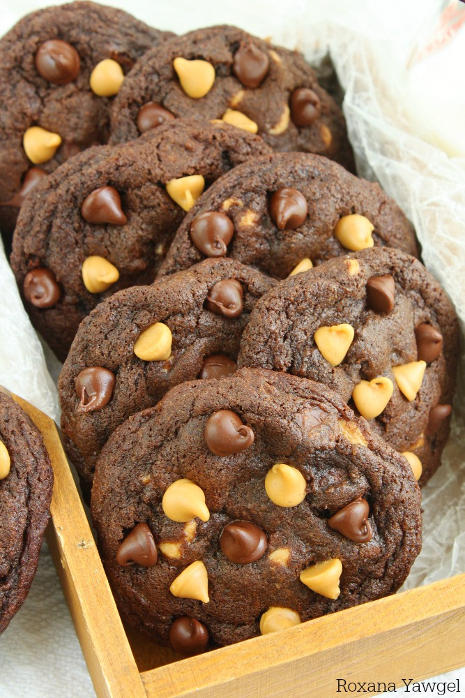 Cocoa Peanut Butter Cookies
 Soft and chewy chocolate peanut butter chip cookies recipe