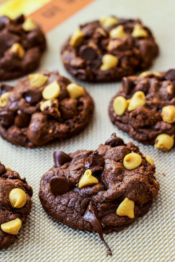 Cocoa Peanut Butter Cookies
 Death by Chocolate Peanut Butter Chip Cookies Sallys