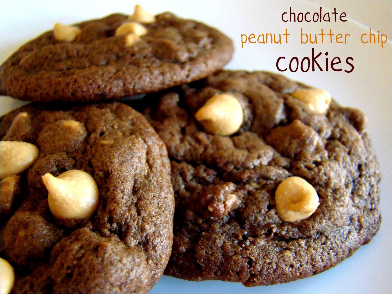 Cocoa Peanut Butter Cookies
 Family Feedbag Chocolate peanut butter chip cookies