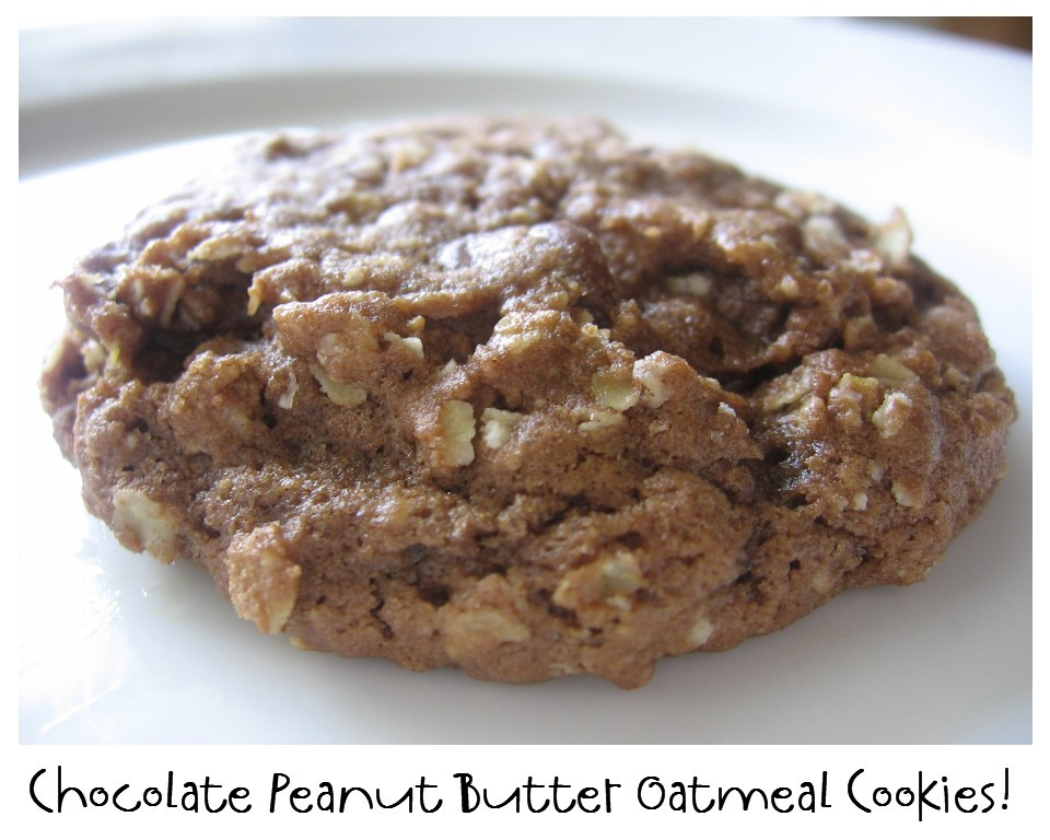 Cocoa Peanut Butter Cookies
 Prepared NOT Scared Mix Recipe 24 Chocolate Peanut