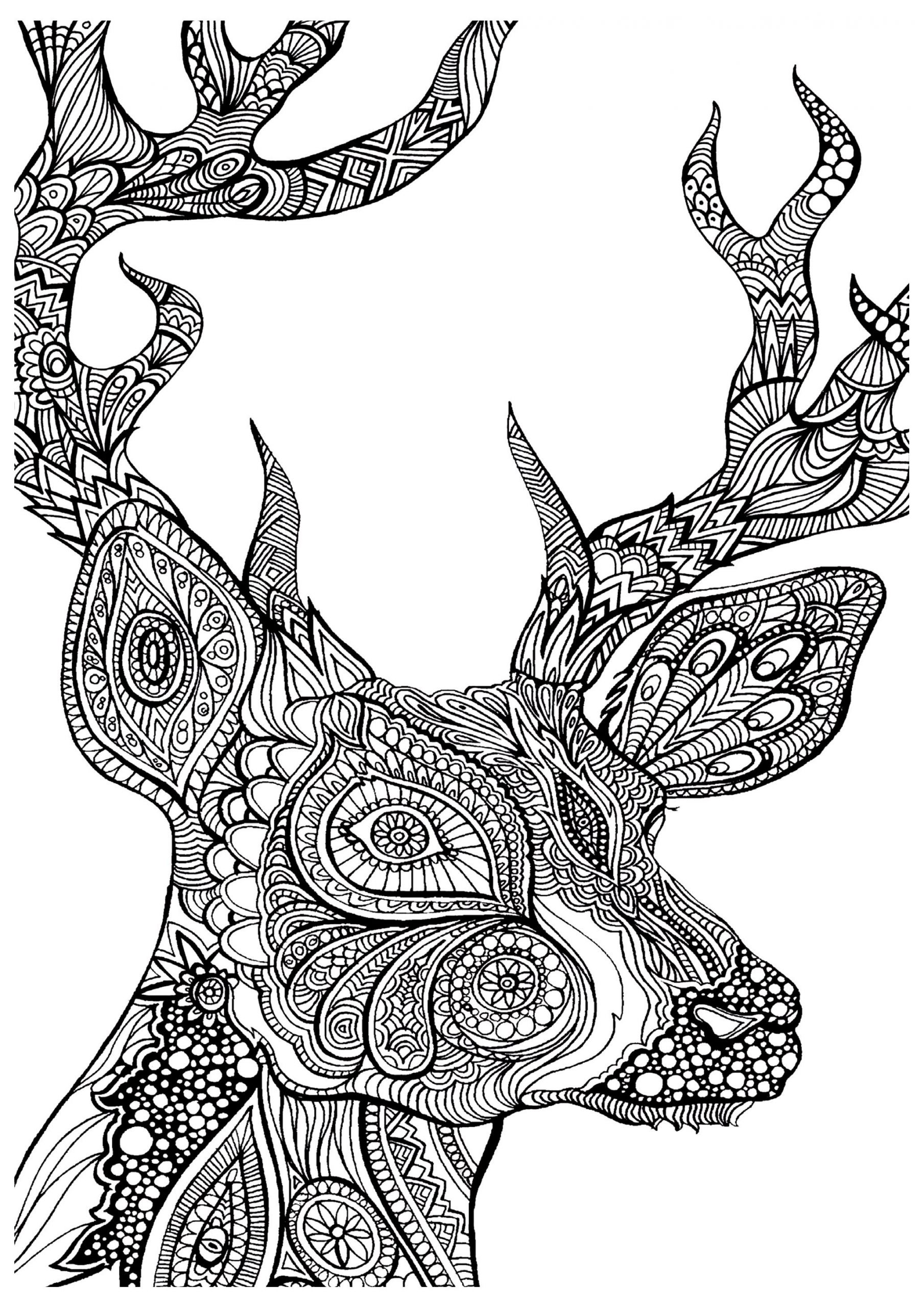 Coloring Pages Adult
 19 of the Best Adult Colouring Pages Free Printables for