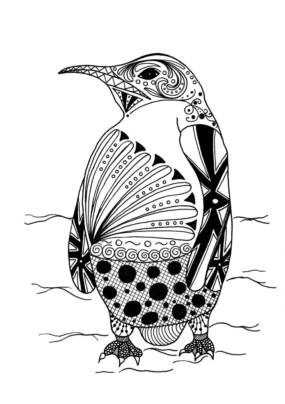 Coloring Pages Adult
 Intricate Penguin Adult Coloring Page