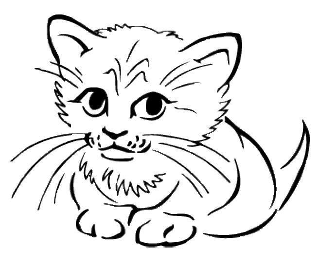 Coloring Pages Cute Baby Animals
 Cute Baby Cats Coloring Pages Animal