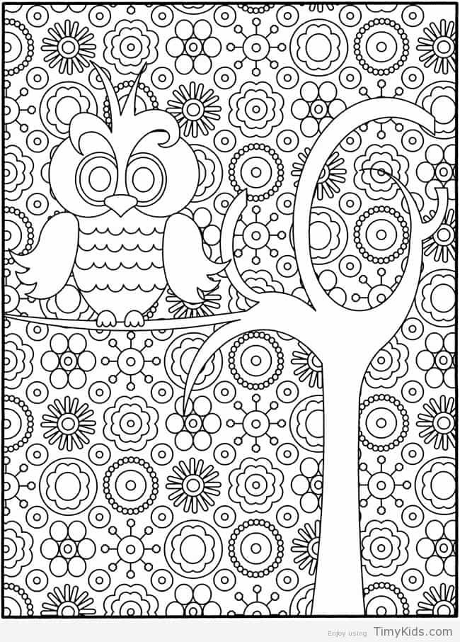 Coloring Pages For Girls Hard
 Hard Coloring Pages for Kids TimyKids