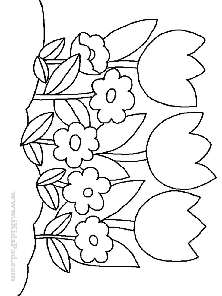 Coloring Pages For Kids Flowers
 row of tulip flowers coloring pages for kids