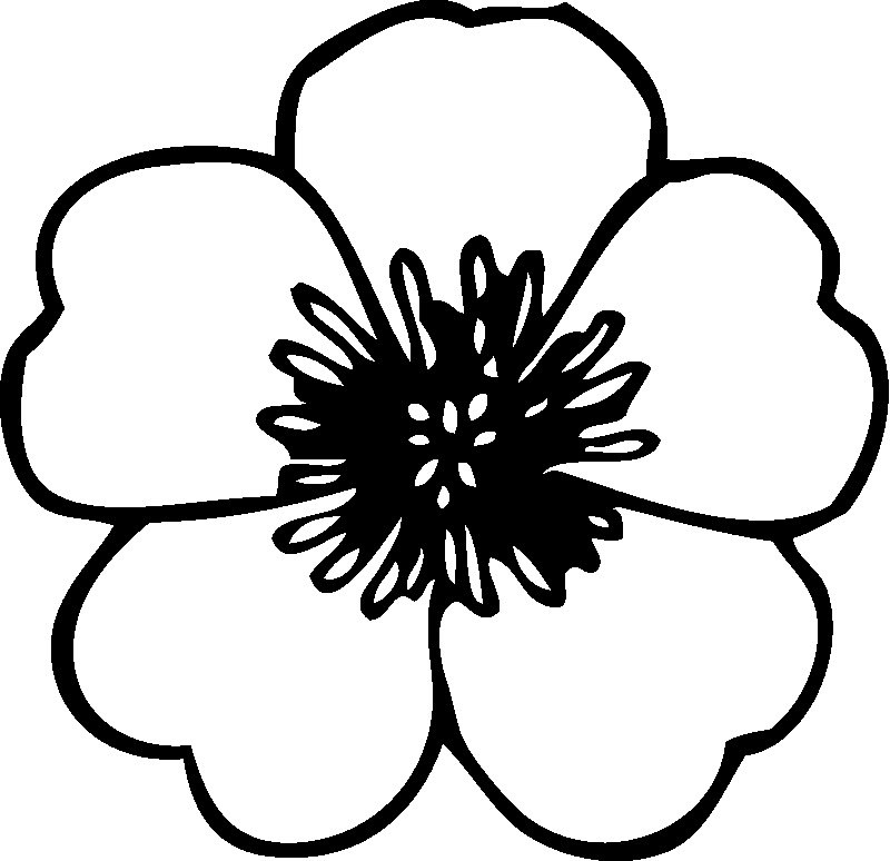 Coloring Pages For Kids Flowers
 Flower Coloring Pages For Kids