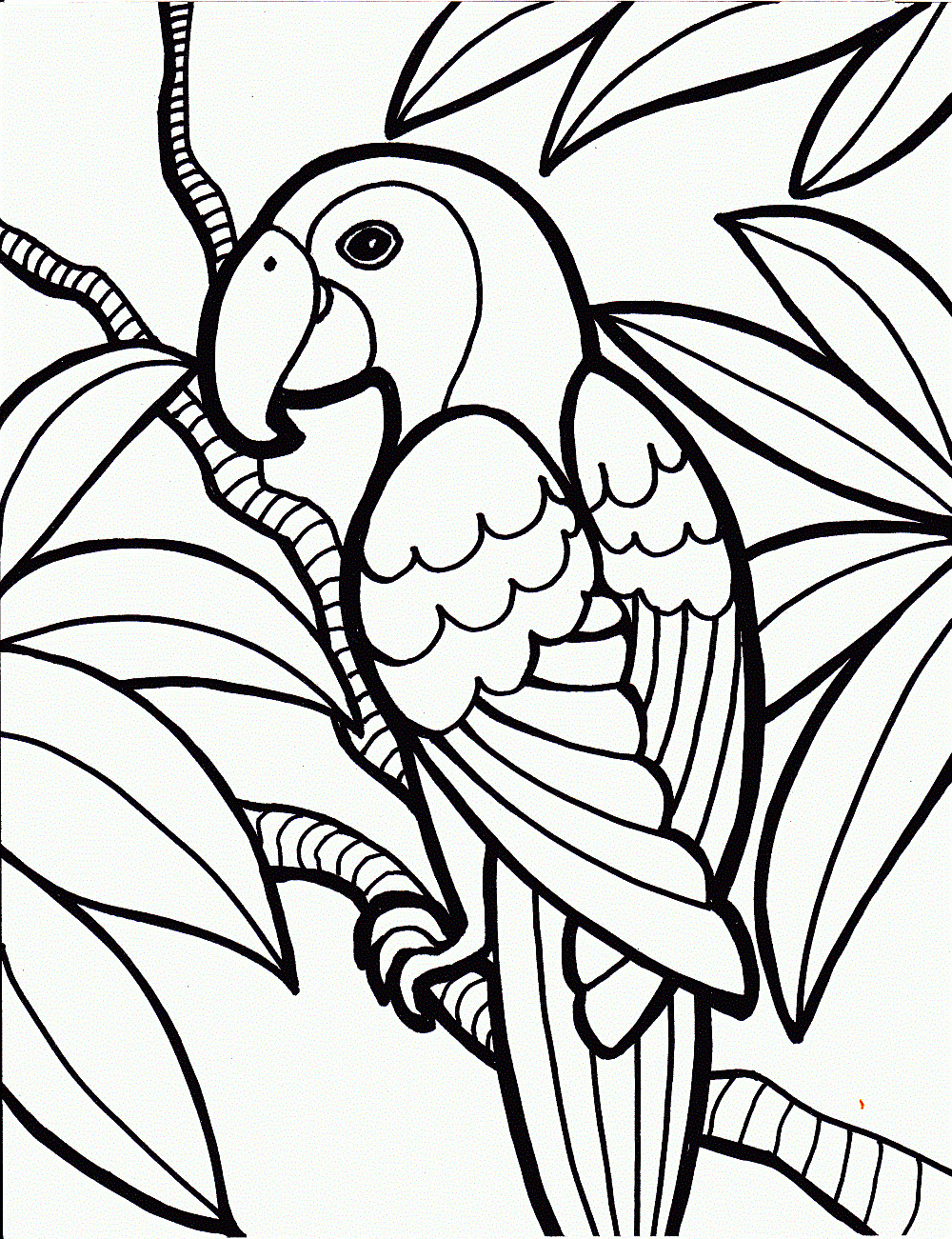 Coloring Pages For Kids Online
 beautiful parrot coloring pages for kids to color in