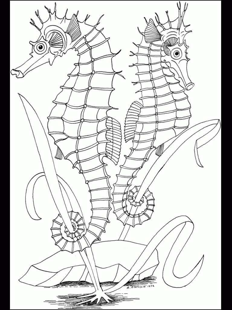 Coloring Pages For Kids Online
 Free Printable Ocean Coloring Pages For Kids