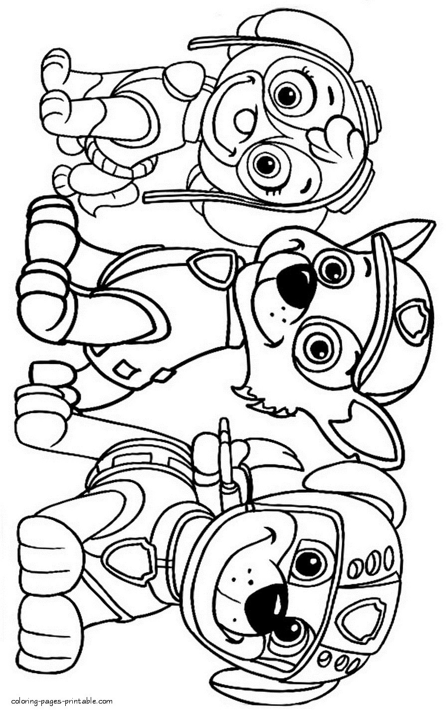 Coloring Pages For Kids Paw Patrol
 Paw Patrol Badges Coloring Pages at GetColorings