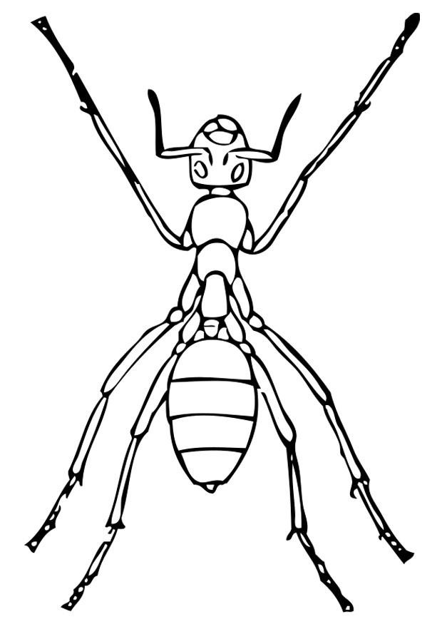Coloring Pages For Kids Printables
 Free Printable Ant Coloring Pages For Kids