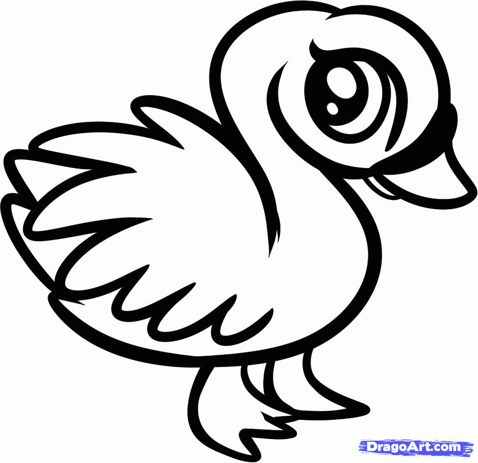Coloring Pages Of Cute Baby Animals
 How to Draw a Baby Swan Step by Step Birds Animals