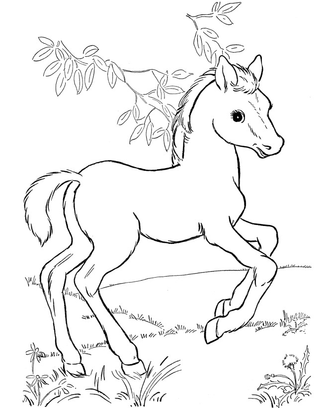 Coloring Sheets For Children
 Horse coloring pages for kids