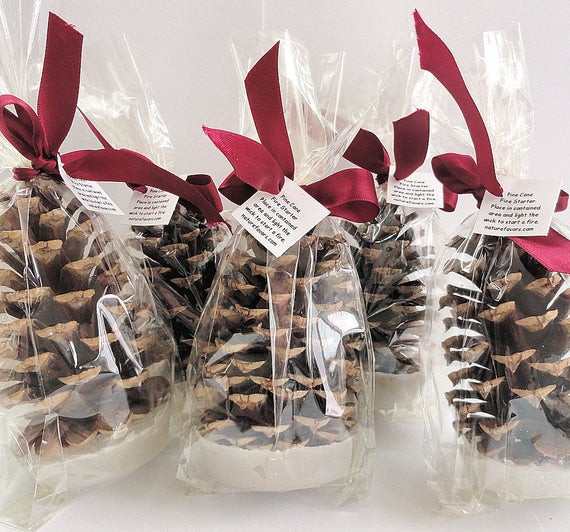 Company Christmas Party Gift Ideas
 Pine Cone Fire Starter Corporate Christmas Party Favors
