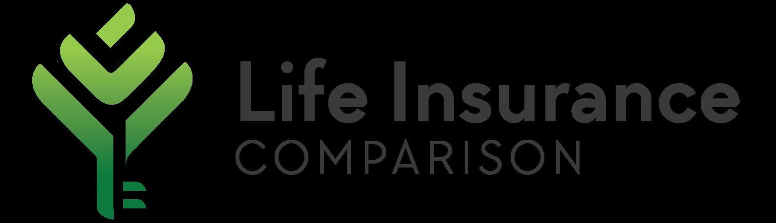 Compare Life Insurance Quotes
 Life Insurance parison