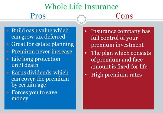 Compare Life Insurance Quotes
 20 pare Life Insurance Quotes & s
