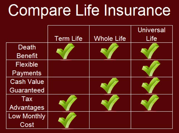Compare Life Insurance Quotes
 20 pare Term Life Insurance Quotes and Sayings