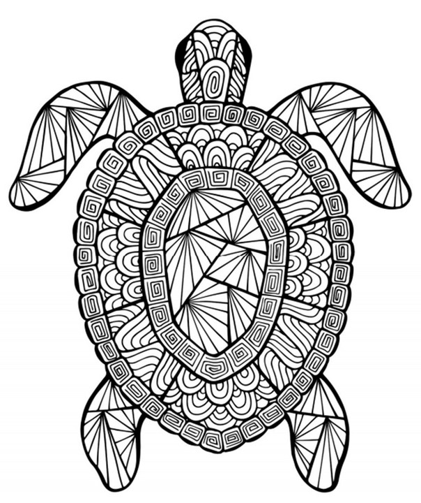 Cool Adult Coloring Books
 18 fun free printable summer coloring pages for kids