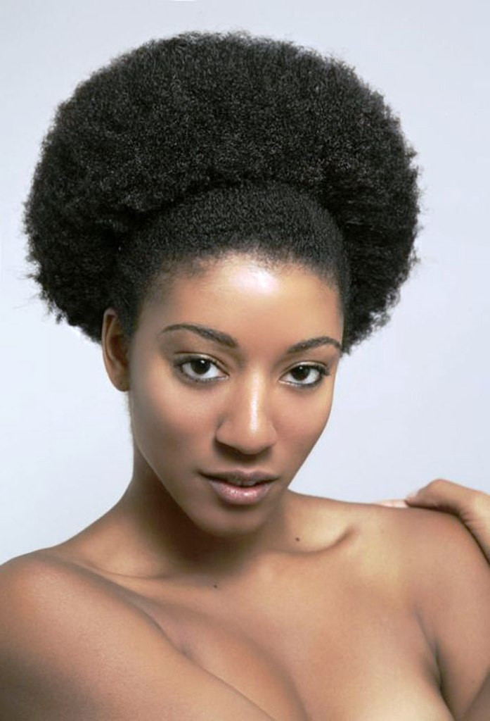 Cool Afro Haircuts
 20 Afro Hairstyles For African American Woman’s Feed