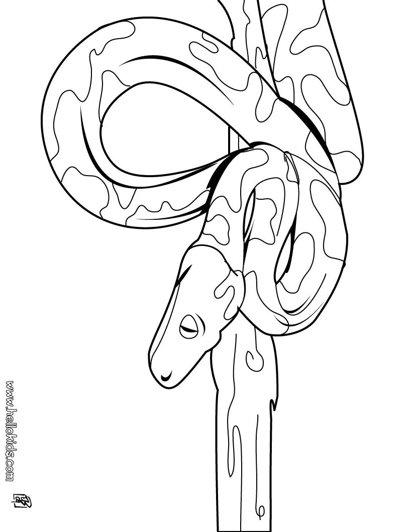 Cool Coloring Pages For Kids
 Fun coloring pages for kids